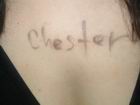 slovo Chester i na Lady_Ragazza *3* *3*